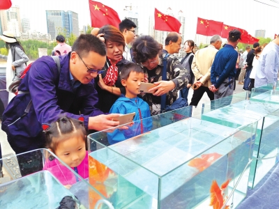 長假期間，有趣的活動吸引了市民圍觀